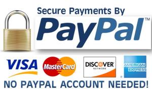 paypal - ebay - amazzon - InternetBrzaZarada.ws